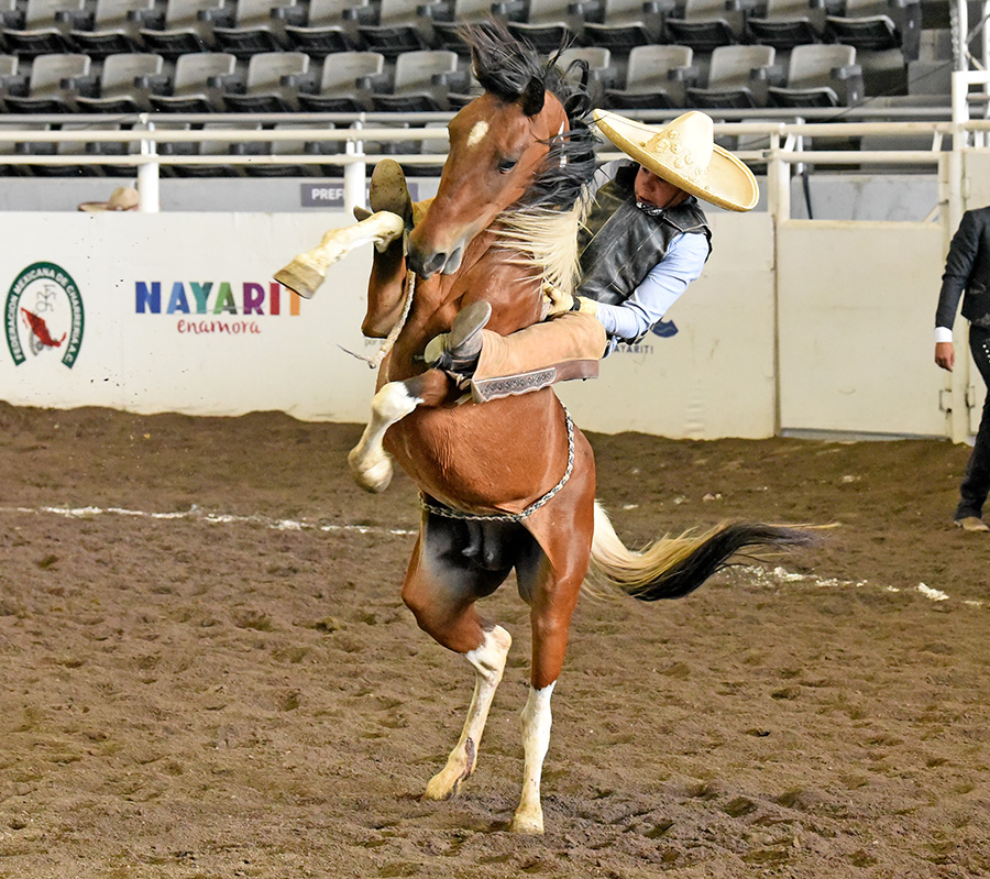 Destacada Participación De La Metropolitana De Charros Juvenil ...